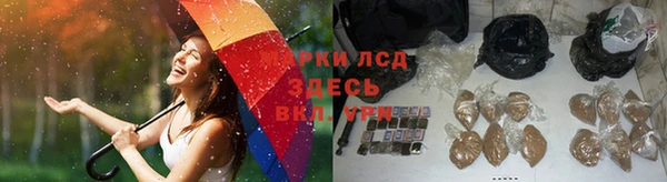 индика Алексеевка