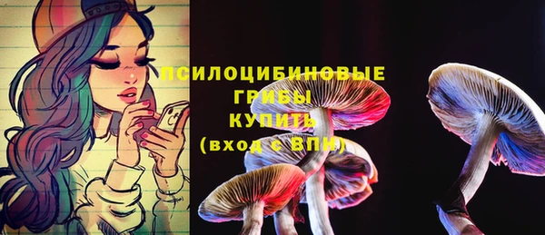 индика Алексеевка