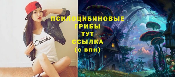 герыч Алексин