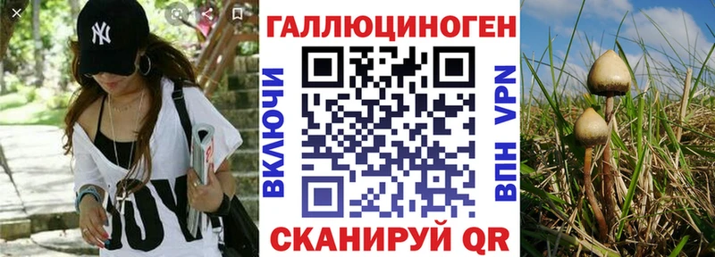 blacksprut tor  Данилов  Галлюциногенные грибы GOLDEN TEACHER 